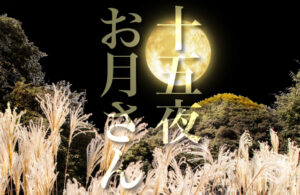 jyuugoya otsukisan title (pampas grass and full moon)