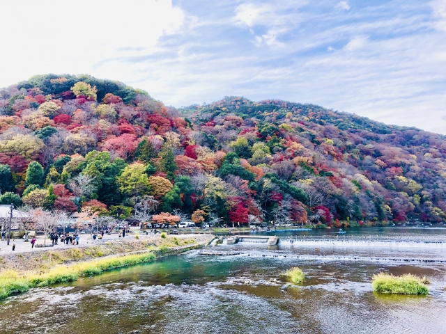 kouyou arashiyama