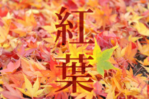 momiji title