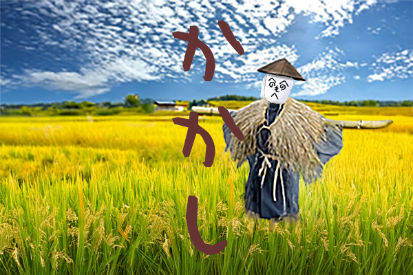 Kakashi Scarecrow