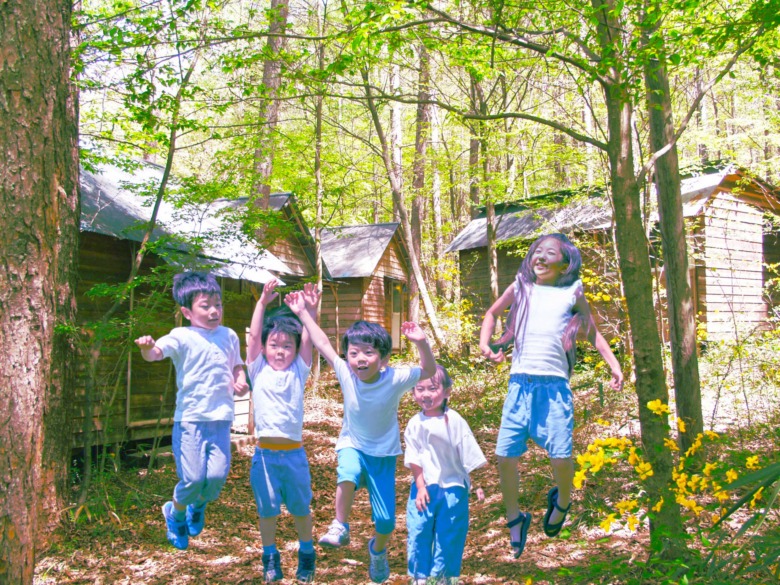 forest camp 