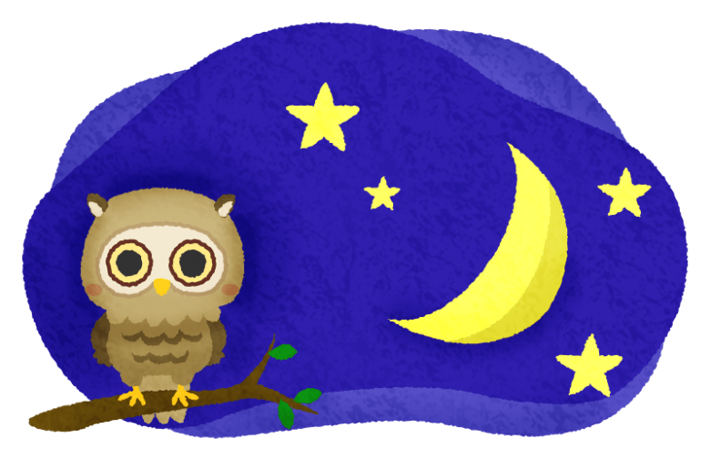night owl illustration