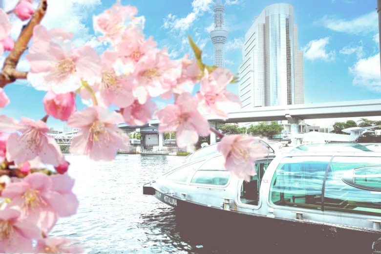 tokyo hotaruna2 sumida-gawa sakura hotaruna