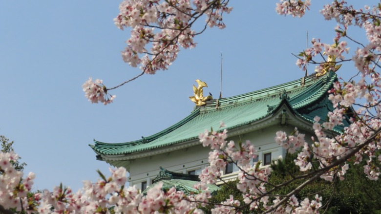 aichi prefecture nagoyajyou
