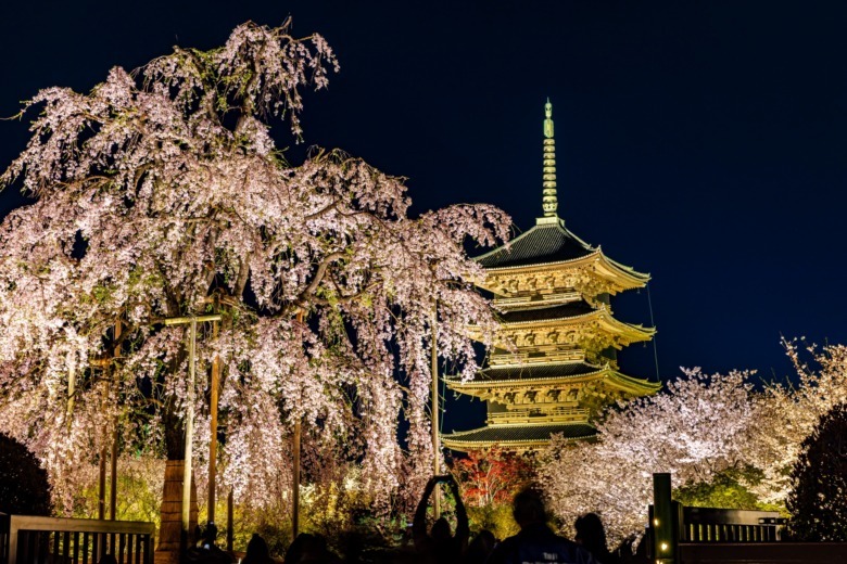 kyoto touji yozakara kyoto touji yozakara