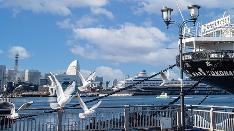Hikawamaru at Yokohama Bay