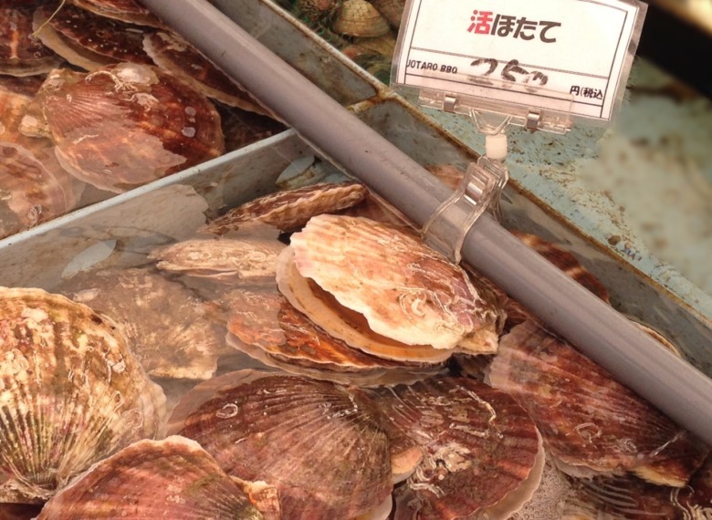 Aomori Hotate ( scallop )