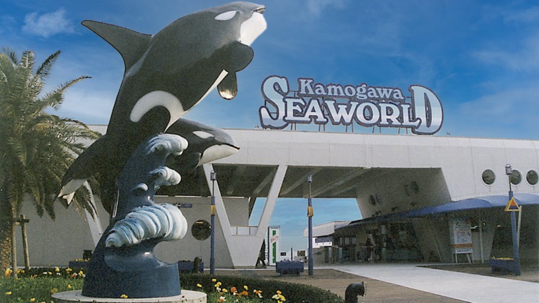 ec chiba seaworld