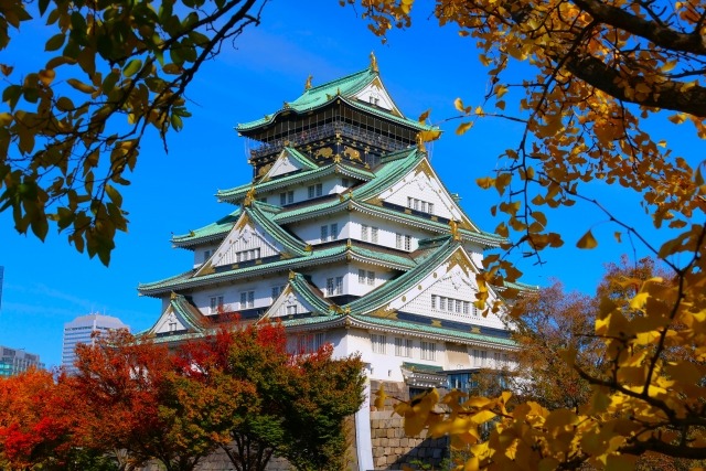 Realistic Wooden 3D Puzzle of Osaka Castle
