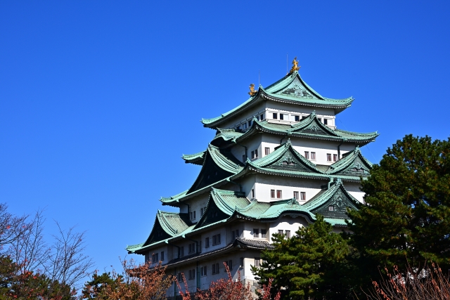 Metallic nano puzzle of Nagoya Castle