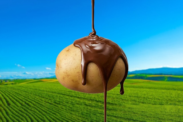 Hokkaido ROYCE' Chocolate Potato Chips