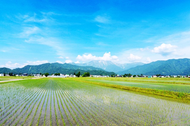 Niigata Minami-uonuma tanbo Niigata Minami-uonuma tanbo