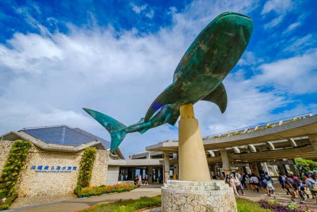 okinawa churaumi aquarium