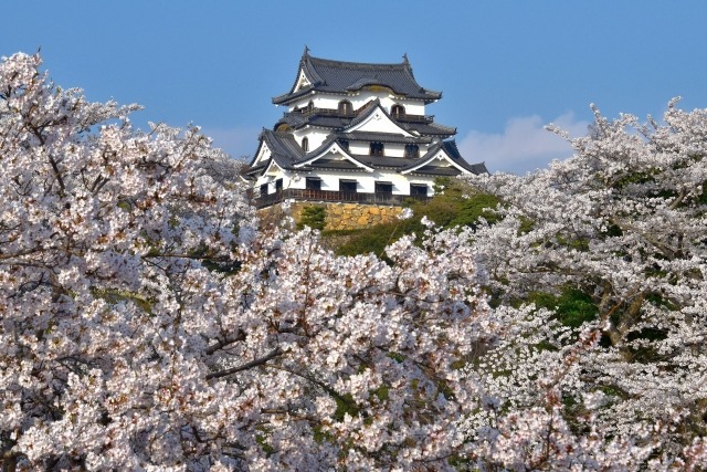 Hikone Castle, Shiga Prefecture